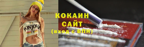 шишки Дмитриев