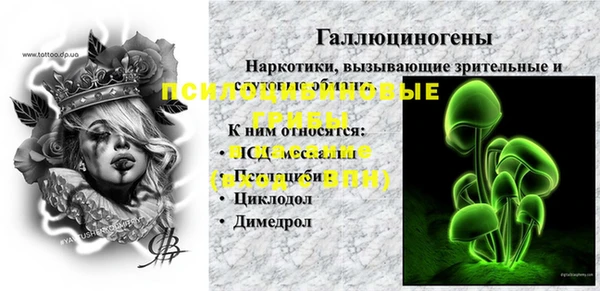 ALPHA PVP Елизово