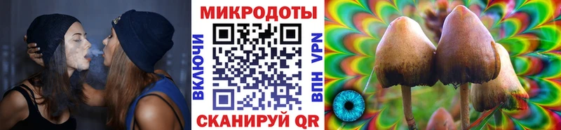 Галлюциногенные грибы Cubensis  МЕГА зеркало  Калтан  магазин  наркотиков 